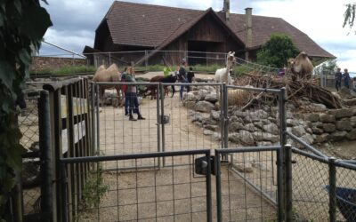 Souvenir und Tierbedarf aus Johns kleiner Farm